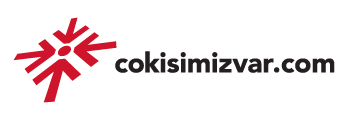 Bilgin Bilişim Danışmanlık