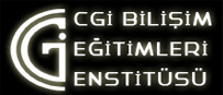 Cgi Bilişim Enstitüsü