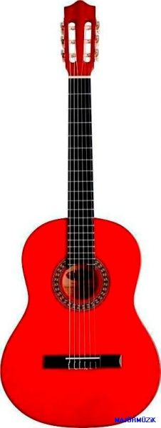 Gitar Kursu